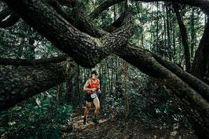 BIB: 
                            <button type="button" onclick="openModal(25663449)" class="btn btn-primary btn-sm float-right btn-popup" data-toggle="modal" data-target=".modal-high-quality">
                        <i class="fas fa-shopping-cart"></i> Add to Cart
                    </button>
                                            <button type="button" onclick="isThisMe(25663449, true)" class="btn btn-success btn-sm float-right btn-popup btn-isme hidden" data-toggle="tooltip" data-placement="bottom" title="นี่คือรูปของคุณใช่ไหม คลิกที่นี่เพื่อเอาเข้าอัลบั้ม">
                        <i class="fas fa-plus"></i> Add to album
                    </button>
                    <button type="button" onclick="isThisMe(25663449, false)" class="btn btn-warning btn-sm float-right btn-popup btn-isnotme hidden">
                        <i class="fas fa-ban"></i> Remove from album
                    </button>